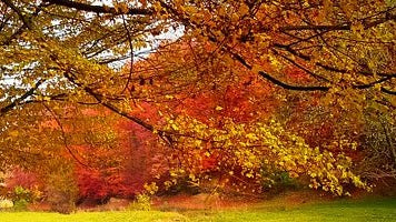 Best Autumn Sports Trends