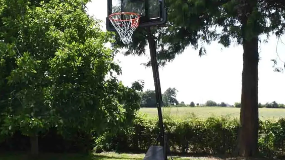 Basketball Hoop and Stand