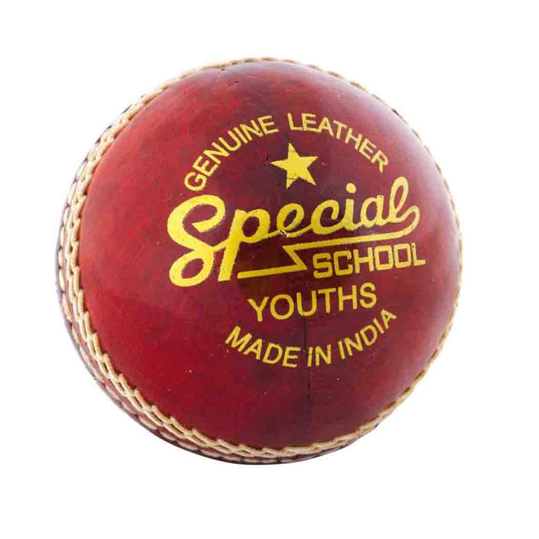Readers Cricket Balls Readers Special Schools Training Cricket Ball