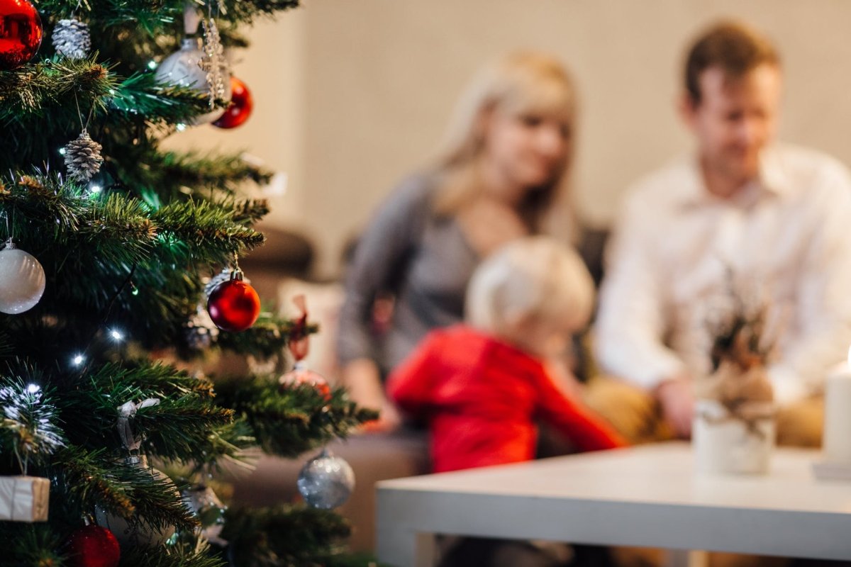 Christmas Survival Ideas