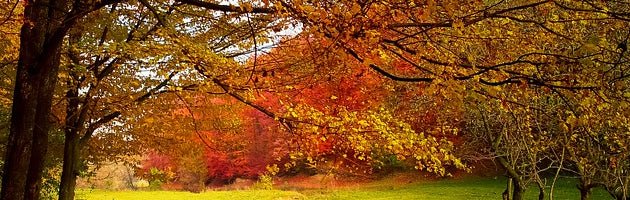 Best Autumn Sports Trends