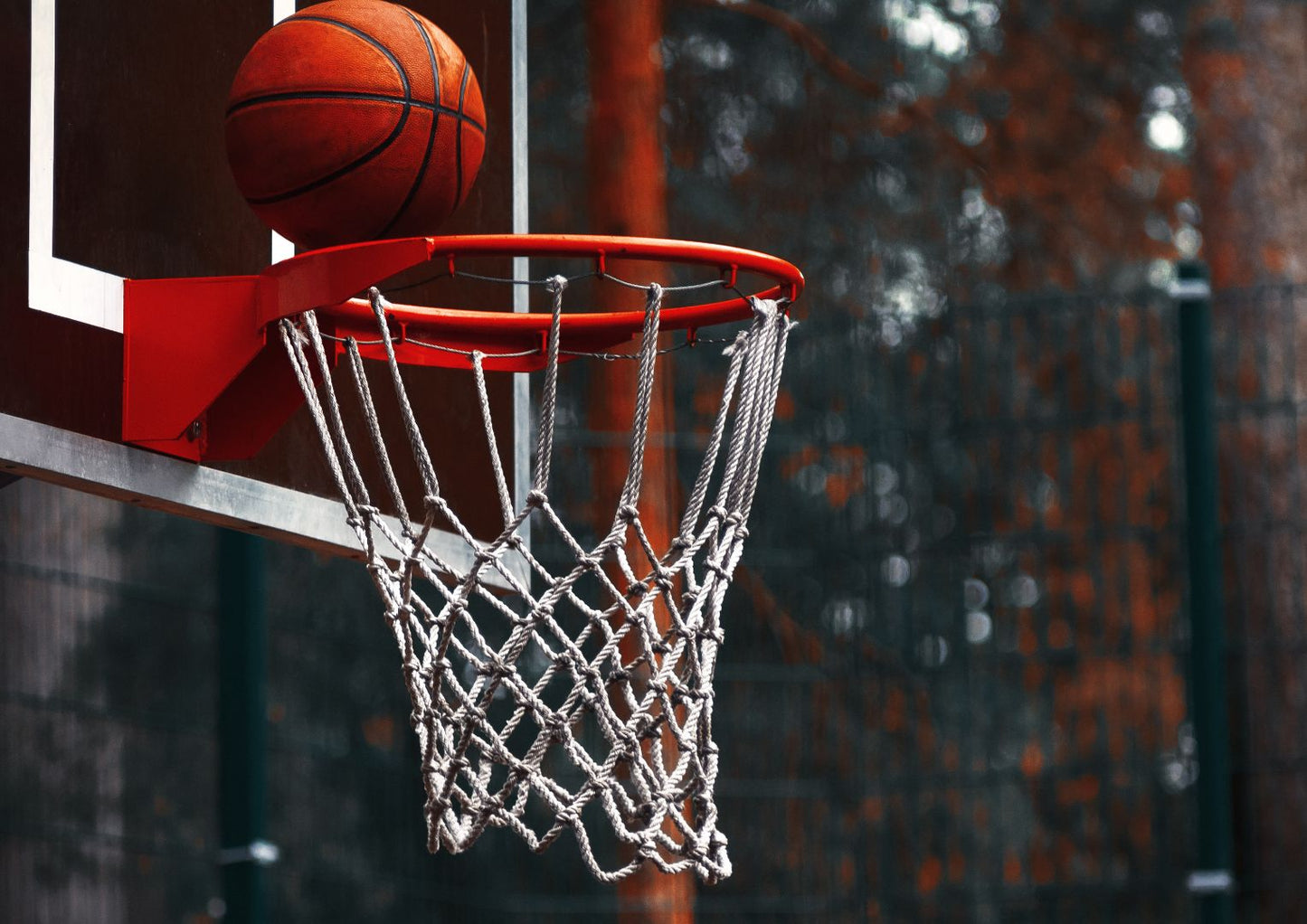 How High is a Basketball Hoop? How Hoop Height Affects Play Big Game
