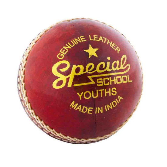 Load image into Gallery viewer, Readers Cricket Balls Readers Special Schools Training Cricket Ball
